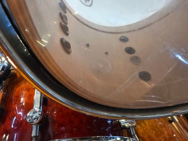 Sonor Delite Maple