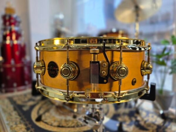 DW collector's Craviotto Maple