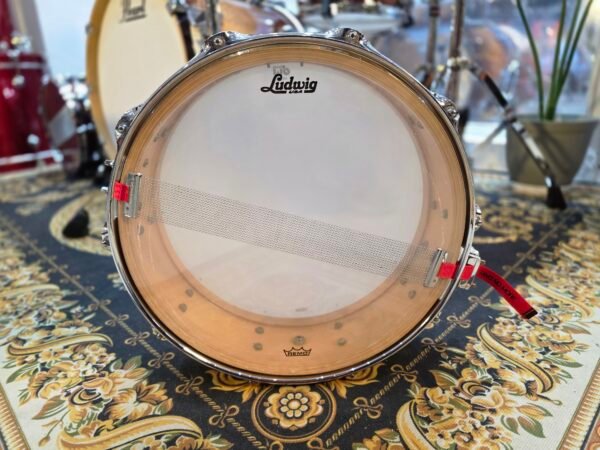 Dw collectors Maple