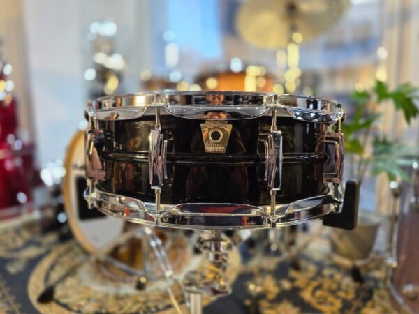 Ludwig black beauty