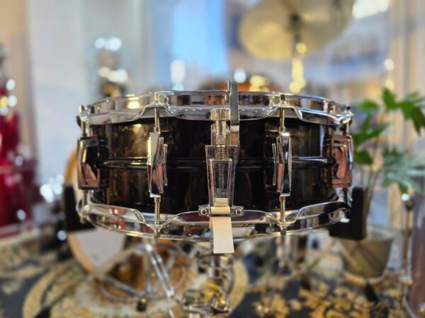 Ludwig black beauty