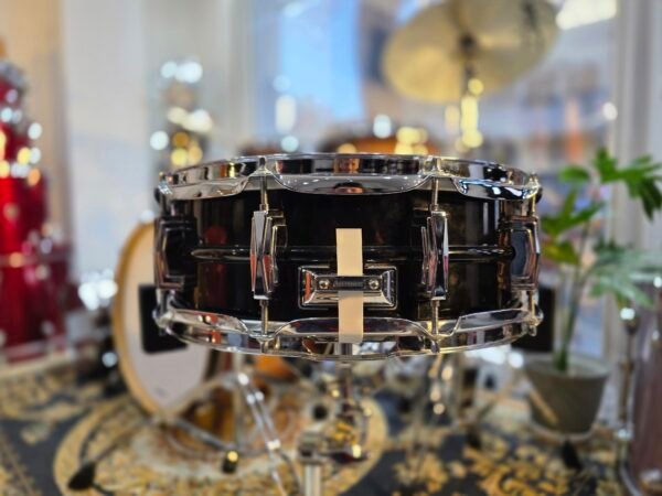 Ludwig black beauty