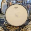 Ludwig black beauty