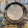 Ludwig black beauty