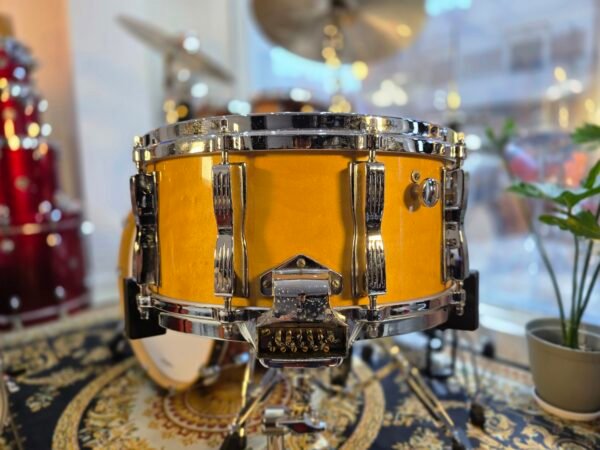 Ludwig classic vintage Maple