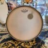 Ludwig classic vintage Maple