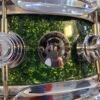 Dw collectors Keller Maple