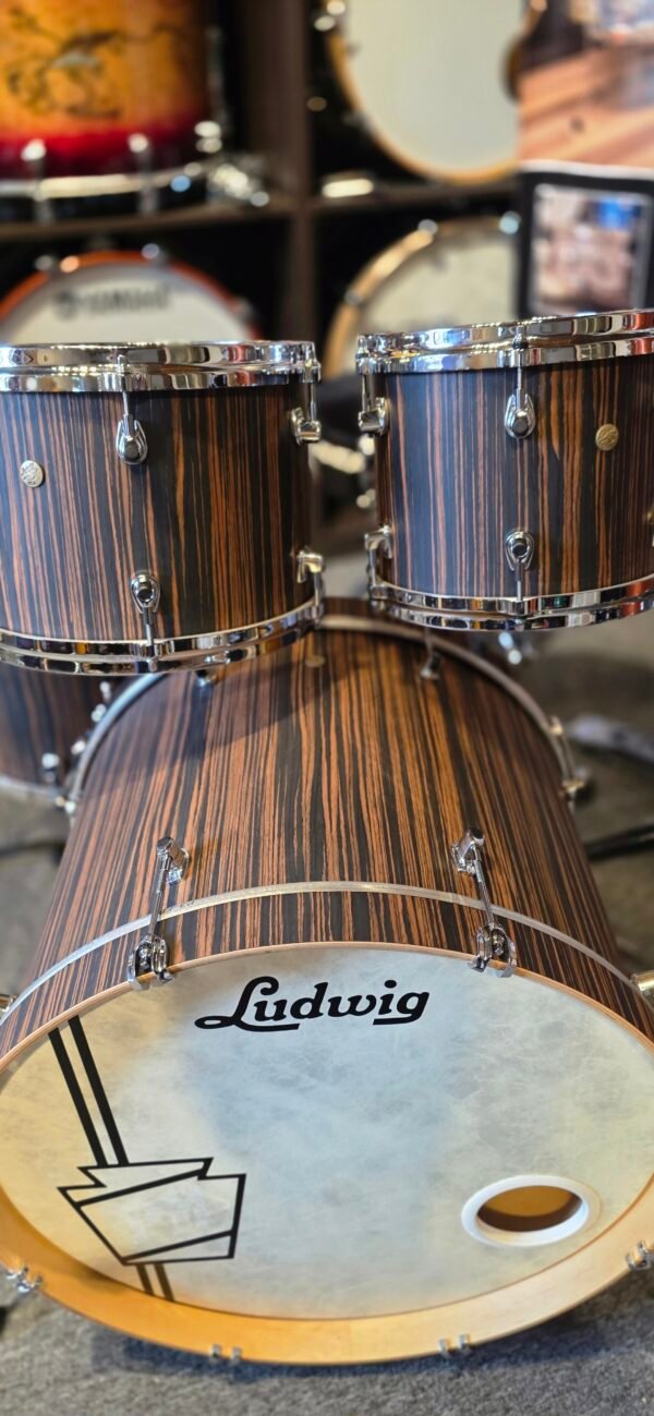 Ludwig Signet 105 Maple